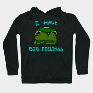 I Have Big Feelings Frog Hoodie